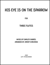 His Eye Is On the Sparrow P.O.D. cover